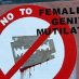 Nearly 500 girls undergoing FGM every month in the UK