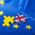The implications of Brexit for the Institute’s concerns