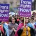 Stonewall’s census question exaggerated trans numbers