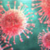 Is it really crazy to ignore ‘the science’ on coronavirus?
