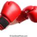 Transgender boxers would be ringfenced in new category