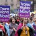 Census ‘hugely overstated’ trans population