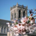 Don’t abandon the Church of England
