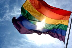 Gay flag Wiki