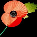 Fury as Wetherspoons bans veterans from entering if they’re wearing a poppy – as Gosport pub tells customers ‘it could be political’