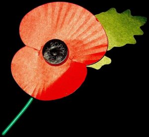 Poppy Wiki public domain