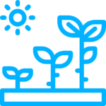 growth wiki